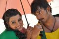 Tanish, Tashu Kaushik in Telugabbai Movie Hot Stills