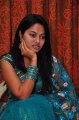 Telugu Actress Suhasini Saree Stills