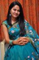 Telugu Actress Suhasini Saree Stills