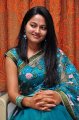 Telugu Actress Suhasini Saree Stills