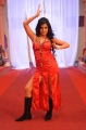 Telugu Ammayi Movie Hot Photo gallery