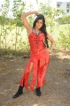 Telugu Ammayi Movie Hot Photo gallery