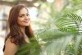 Telugu Heroine Ashwini Latest Wallpapers