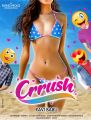 Crrush Movie New Year 2020 Wishes Poster