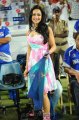 Madhuri Bhattacharya @ Telugu Warriors vs Karnataka Bulldozers Match