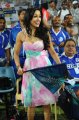 Madhuri Bhattacharya @ Telugu Warriors vs Karnataka Bulldozers Match