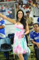 Madhuri Bhattacharya @ Telugu Warriors vs Karnataka Bulldozers Match