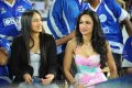 Madhuri Bhattacharya, Nikisha Patel @ Telugu Warriors vs Karnataka Bulldozers Match