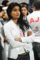 Shriya Saran @ CCL 2012 Match Pictures