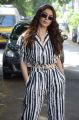 Tenali Ramakrishna BA BL Movie Actress Hansika Interview Photos