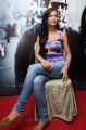 Actress Amy Jackson at Thaandavam Movie Press Meet Stills