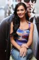 Actress Amy Jackson at Thaandavam (NAB) Press Meet Stills