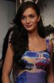 Actress Amy Jackson at Thaandavam Movie Press Meet Stills