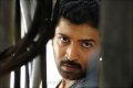 Arun Vijay in Thadaiyara Thaakka Stills