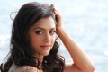 Mamta Mohandas in Thadaiyara Thaakka Stills