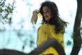 Actress Tamanna in Tadakha Movie Latest Stills
