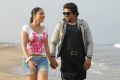 Nikesha Patel, Bas in Thalaivan Movie Stills