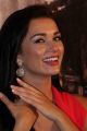 Amy Jackson at Thandavam Trailer Launch Stills