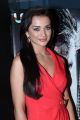 Amy Jackson at Thandavam Trailer Launch Stills