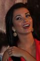 Amy Jackson at Thandavam Trailer Launch Photos