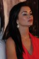 Amy Jackson at Thandavam Trailer Launch Photos