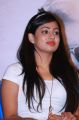 Actress Vaishali @ Tharkappu Movie Press Meet Photos