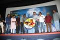 Thee Kulikkum Pachay Maram Audio Launch Stills