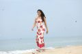 Actress Rakul Preet Singh in Theeran Adhigaram Ondru Photos HD