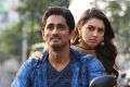 Siddharth, Hansika Motwani in Theeya Velai Seiyyanum Kumaru Movie Stills