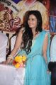 Actress Meenakshi Dixit @ Tenali Raman Movie Audio Launch Stills