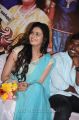 Actress Meenakshi Dixit @ Tenali Raman Movie Audio Launch Stills