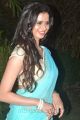 Actress Meenakshi Dixit @ Thenaliraman Movie Audio Launch Stills