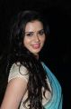 Actress Meenakshi Dixit @ Tenali Raman Movie Audio Launch Stills