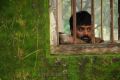 Tamil Actor Pradeep in Therodum Veedhiyile Movie Stills