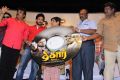 Thigar Movie Audio Launch Stills