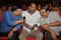 Thikka Movie Audio Release Stills