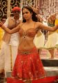 Hot Mallika Sherawat Item Song in Thimmiri Telugu Movie Stills