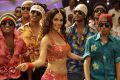 Hot Mallika Sherawat in Thimmiri Telugu Movie Stills