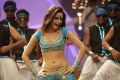 Hot Mallika Sherawat Item Song in Thimmiri Telugu Movie Stills