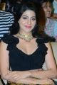 Actress Nikki Tamboli @ Thipparaa Meesam Pre Release Event Stills