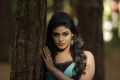 Actress Iniya in Thiraikku Varadha Kadhai Movie Photos