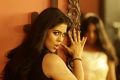 Actress Iniya in Thiraikku Varatha Kathai Movie Stills