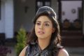 Actress Iniya in Thiraikku Varatha Kathai Movie Stills