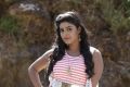 Actress Iniya in Thiraikku Varatha Kathai Movie Stills