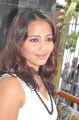 Heroine at Thirunaal Movie Launch Stills