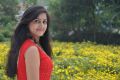 Actress Divya Singh in Thiruppugal Movie Stills