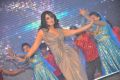 Mahie Gill @ Thoofan Audio Release Function Stills