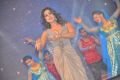 Mahie Gill @ Thoofan Audio Release Function Stills