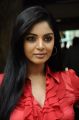 Actress Sanam Shetty @ Thottal Vidathu Movie Press Meet Stills