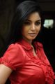 Actress Sanam Shetty @ Thottal Vidathu Movie Press Meet Stills